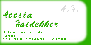 attila haidekker business card